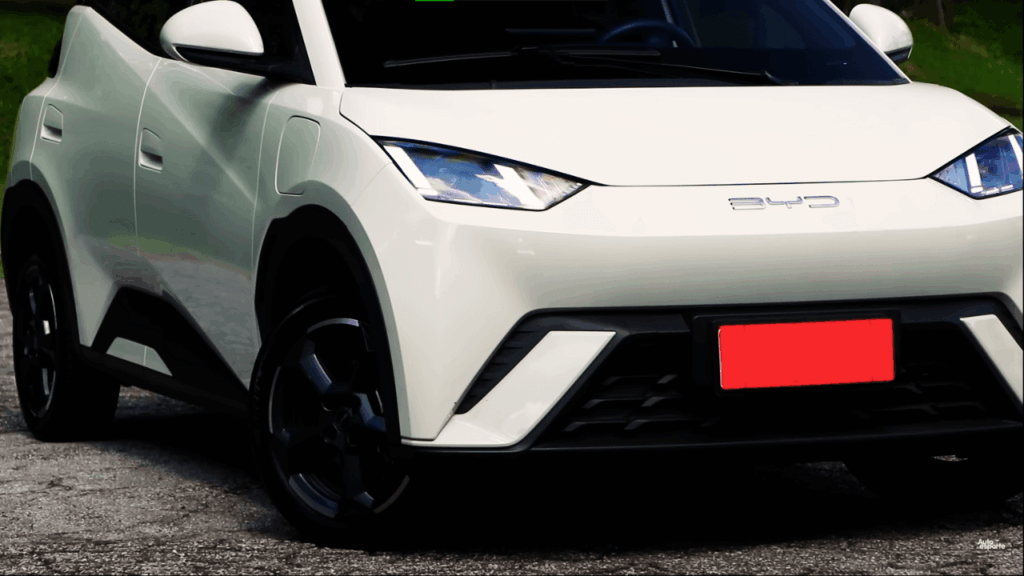BYD Dolphin Mini se destaca no mercado